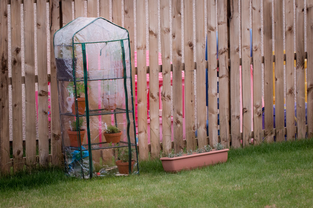 Growhouse with herbs