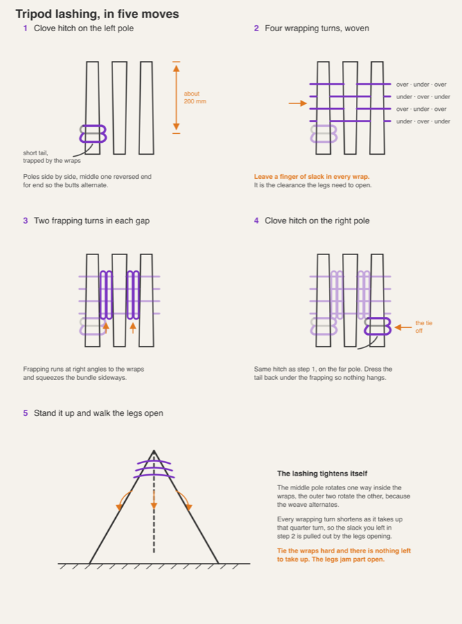 Five-panel sequence: clove hitch on the left pole, four woven figure-of-eight wrapping turns, two frapping turns in each gap, the finishing clove hitch on the right pole, and the legs walked open