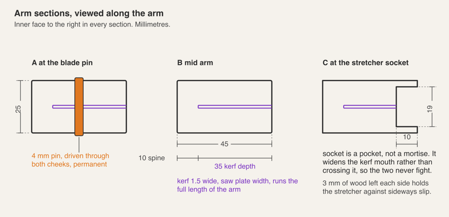 Three arm cross-sections: at the blade pin, mid arm showing the 35 mm deep 1.5 mm kerf, and at the stretcher socket showing the 10 by 19 mm pocket