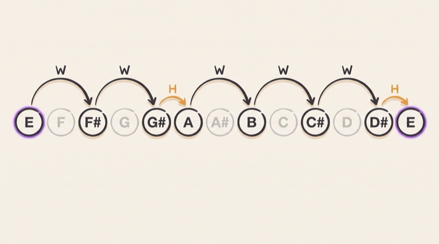 E major scale built from the W-W-H-W-W-W-H step formula