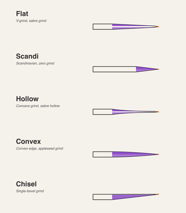 Five grind cross-sections compared: flat, scandi, hollow, convex, chisel